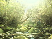 YNACクラシックの写真3