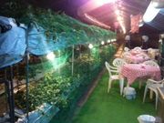 Eitoku Farm いちご園 【瑚愛〜ことな〜】の写真3