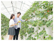 Eitoku Farm いちご園 【瑚愛〜ことな〜】の写真4