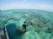 海人倶楽部の写真3