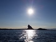 江の島モーターボート商会の写真4