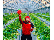 strawberry farm まあと工房の写真4