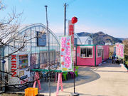 strawberry farm まあと工房の写真2