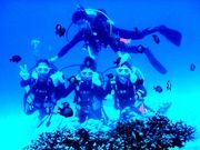 おきなわJ・BOYダイビング倶楽部の写真3