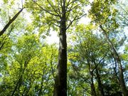 NPO法人福寿の里自然倶楽部の写真2