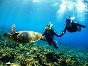 DIVE LIFE OKINAWAの写真2