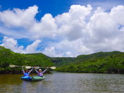 西表島カヌーツアーのんびりぷらぷら「のんぷら」の写真3