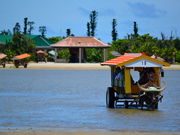 西表島カヌーツアーのんびりぷらぷら「のんぷら」の写真2