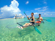 かりほー商店の写真4