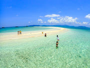 かりほー商店の写真3