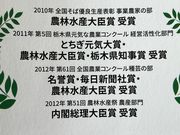 日本そば打ち 自由が丘教室の写真3