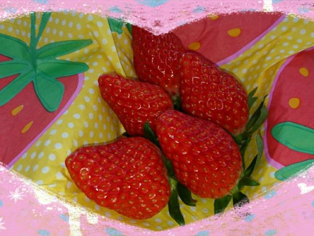 ベリーズショップ大樹