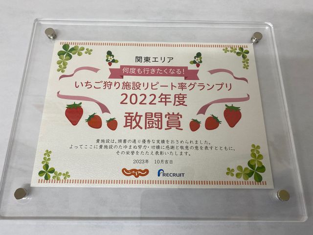 ベリーズショップ大樹