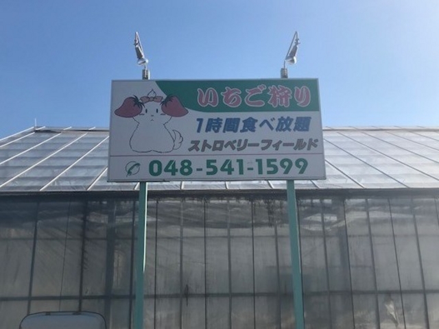 ストロベリーフィールド
