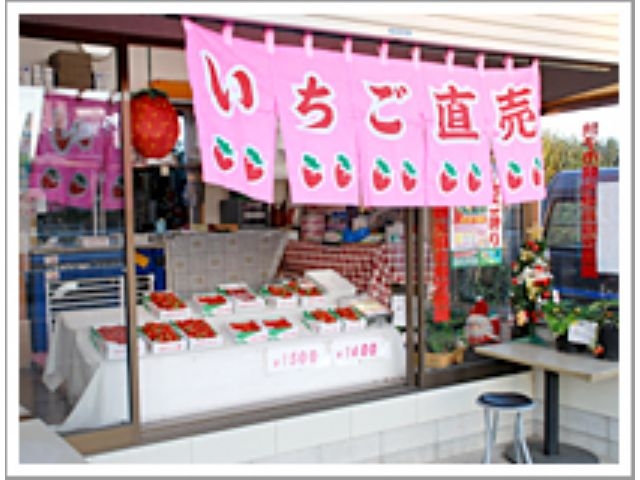 いちごの直売も行っております。_飯森苺農園