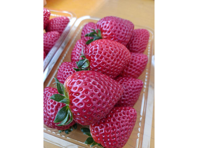 いちご工房 ひらかた