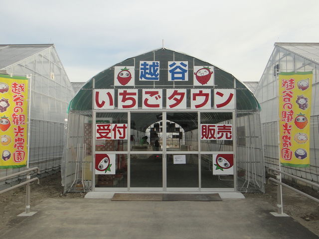 越谷いちごタウン