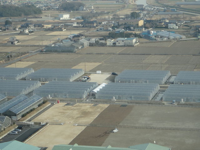 越谷いちごタウン