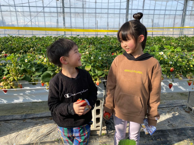 観光園 久ちゃん