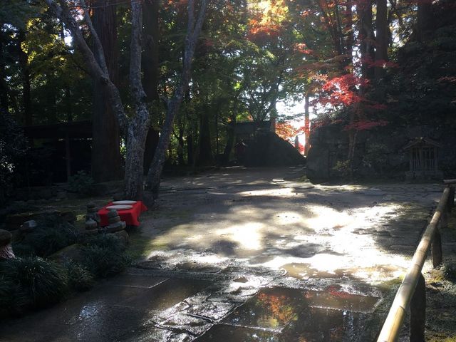 早朝の境内_瓦屋禅寺