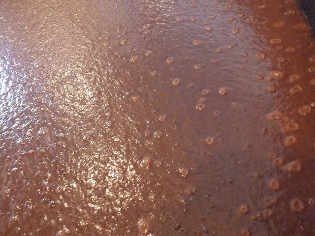 熟成中のもろみ。醤油らしい色と香りになってきます。完成後は布で搾り、過熱して醤油となります。_佐々長醸造