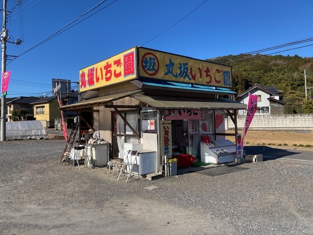 丸坂いちご園