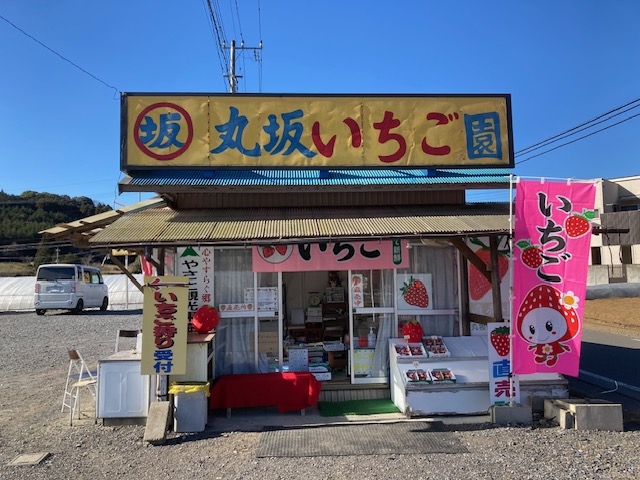 丸坂いちご園