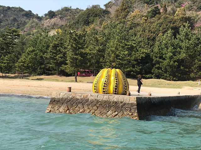 マリンジェットレンタルプラン!アートの島へ_マリンアクティビィティ香川