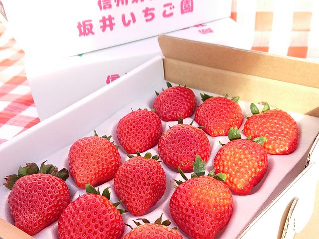 坂井いちご園