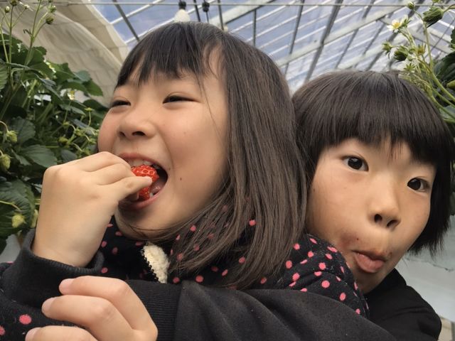 坂井いちご園