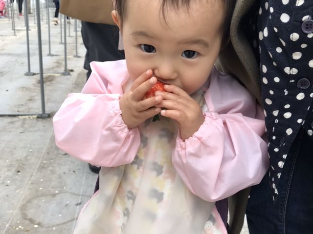 坂井いちご園