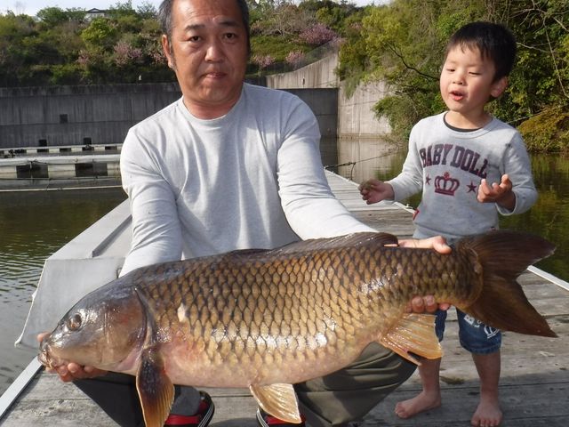 最高長寸98cm_根来桜台つりセンター