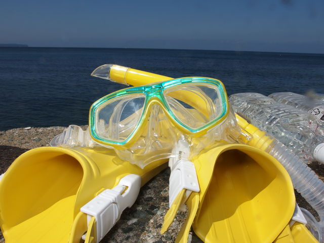 器材は全てフルレンタル。他店と違い特大サイズのウェットスーツもご用意しております。_DivingSchoolテールアップ