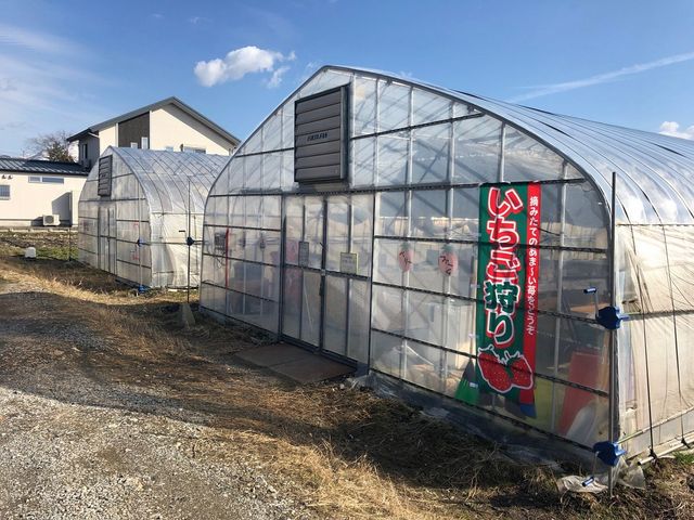 金山ベリーファーム