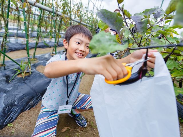 季節の野菜や苺などさまざまな収穫体験を実施しています。_新潟市アグリパーク
