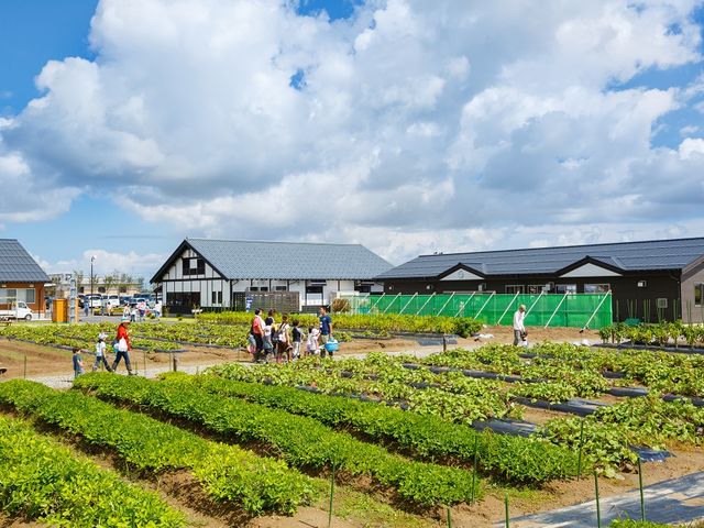 広い畑を散策しているだけでも楽しいですよ〜!_新潟市アグリパーク