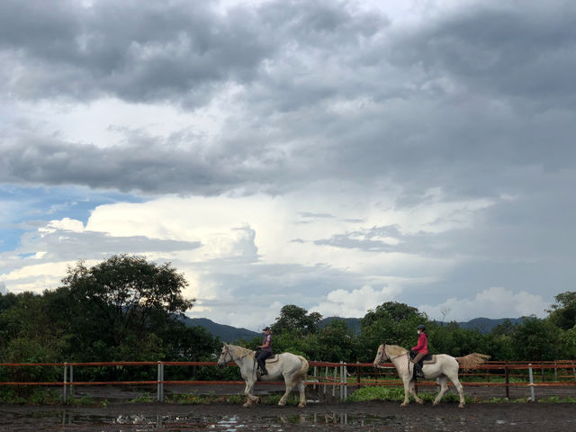 珍しい重種馬に乗っての外乗!_大和ホースパーク