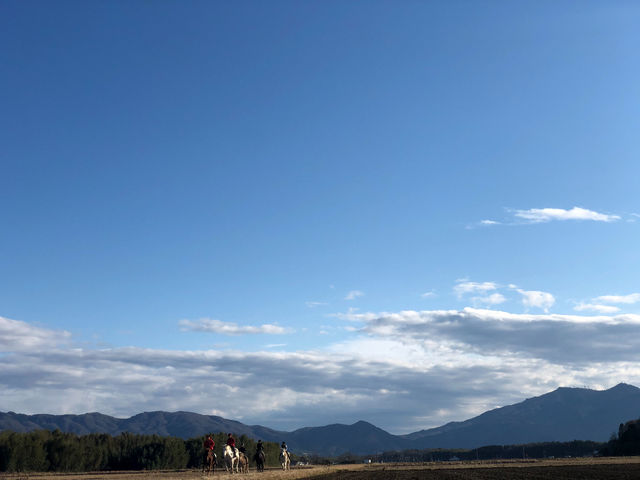 駆歩外乗_大和ホースパーク