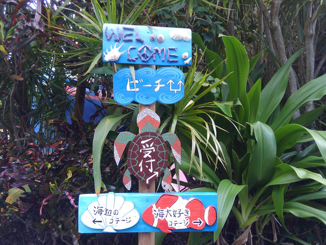 ビーチへ に進んで受付してください_奄美海族塾
