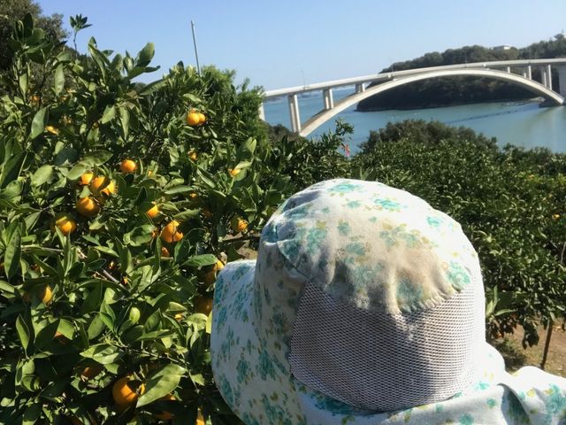 川辺農園