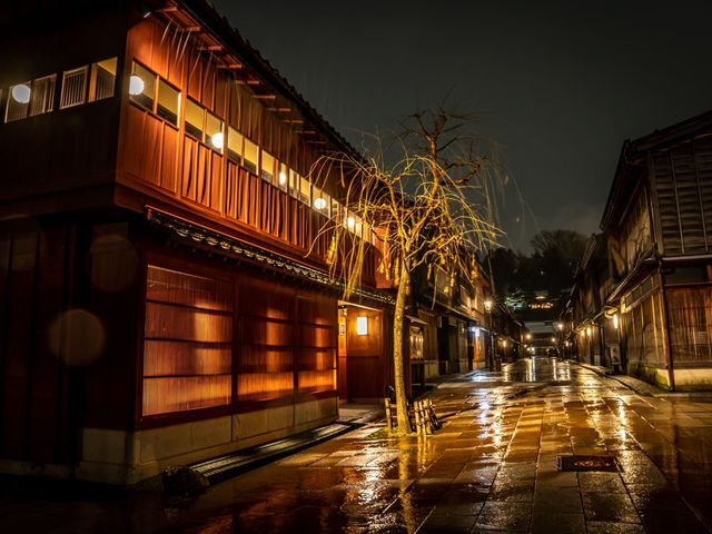 M's photography