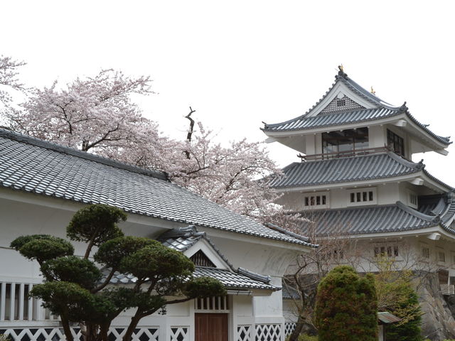 三戸城跡城山公園_特定非営利活動法人三戸町観光協会