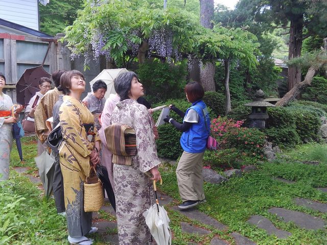 着物で街歩き_特定非営利活動法人三戸町観光協会