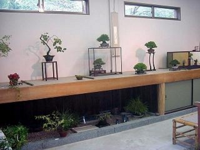 盆栽 草光園