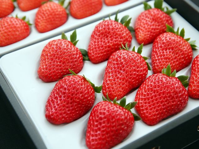 河西いちご園