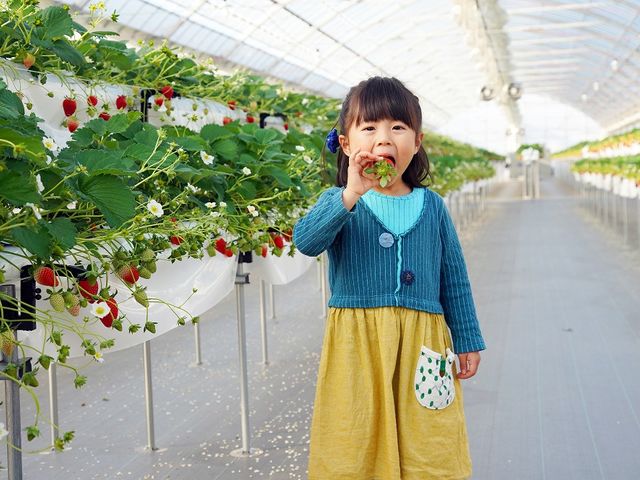 河西いちご園