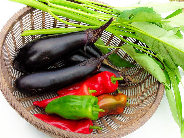 季節の朝採れ野菜も販売しています_つくしファーム