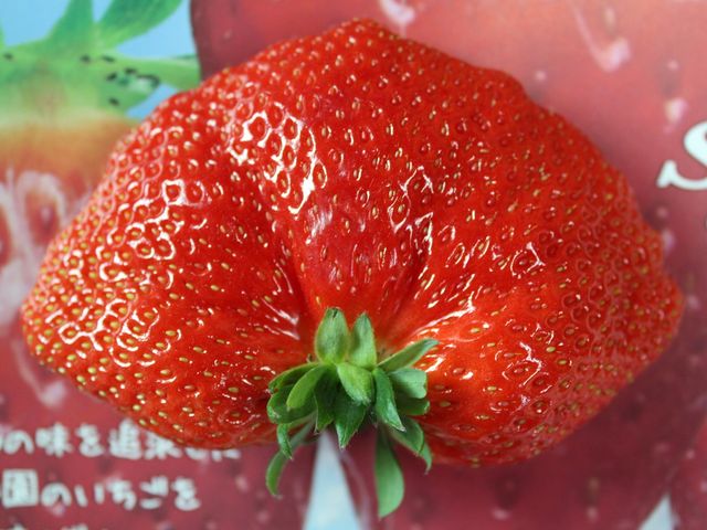 美彩園