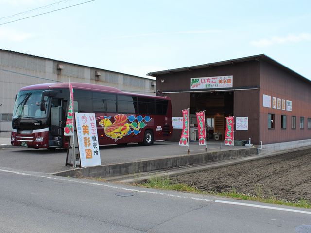 美彩園