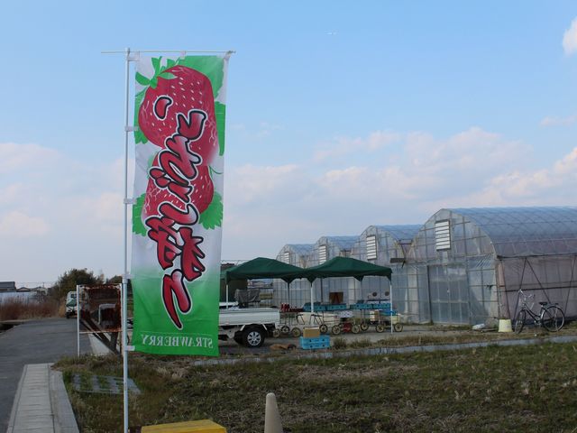 美彩園